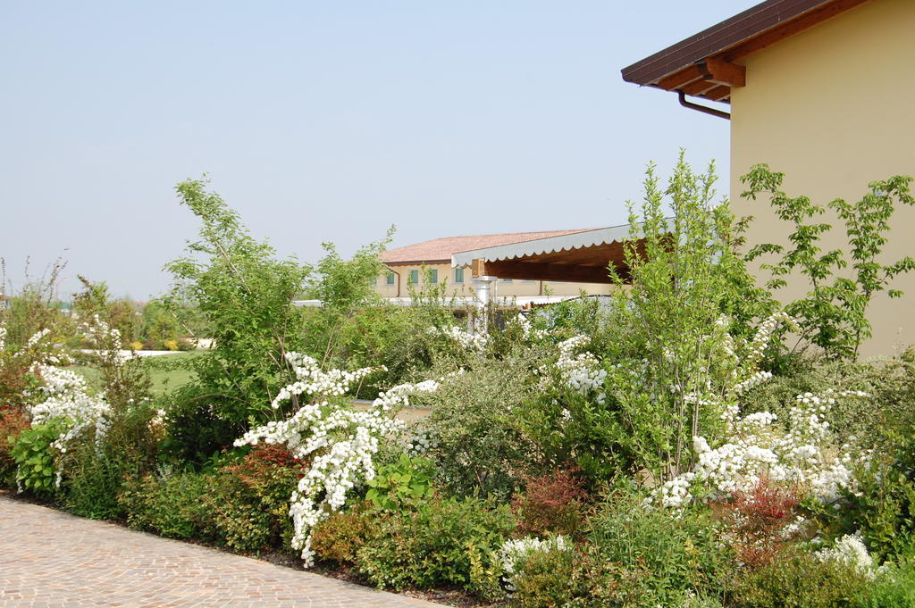 Hotel Gold 4*